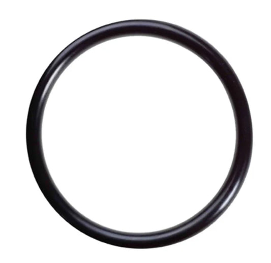 Comet P40 Vam Plug O-Ring